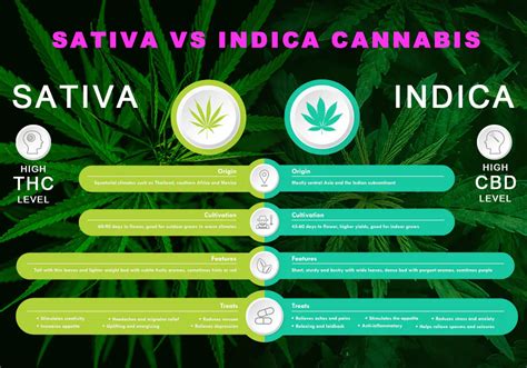 indica edibles vs sativa terpene